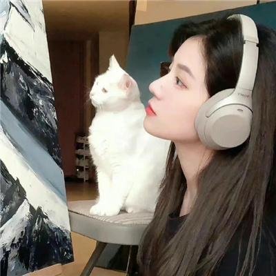 钦天奇谭
